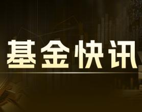 金鹰基金：注销深圳分公司 聚焦资源深耕