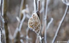 10月23日是霜降！今年冬天雨雪多不多？ 谚语预测冬暖