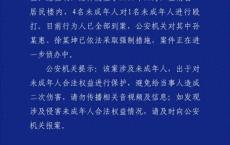 警方通报未成年人遭4人殴打 案件正在进一步侦办中