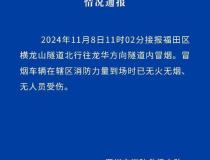 货车隧道内故障冒烟 无人受伤被困 交通逐步恢复