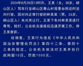 青岛警方称逆行打人路虎女无业 实为无业人员，网传职务系谣言