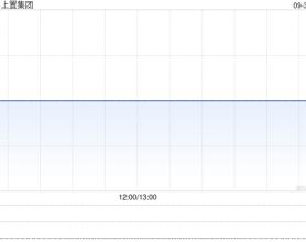 上置集团公布正从事其一般日常业务