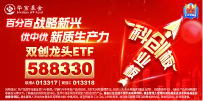 怒涨11%！创业板指刷新历史最大涨幅！硬科技宽基——双创龙头ETF（588330）盘中飙涨超7%